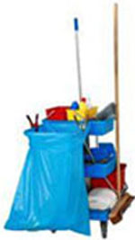 cleaning cart
